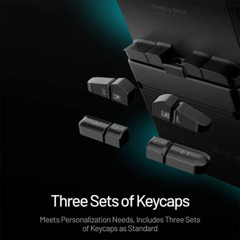 Close-up of detachable shoulder buttons showing R1, R2, L1, L2 configurations
